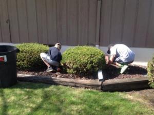 pa55813_1tuzxs_462x5000