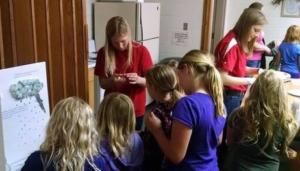 pa57260_2vidta_462x5000