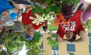 pa60383_cgv6ge_696x400